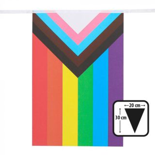 Vlaggenlijn Regenboog Progress 6m