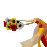 haa oeteldonk kleding carnaval den bosch