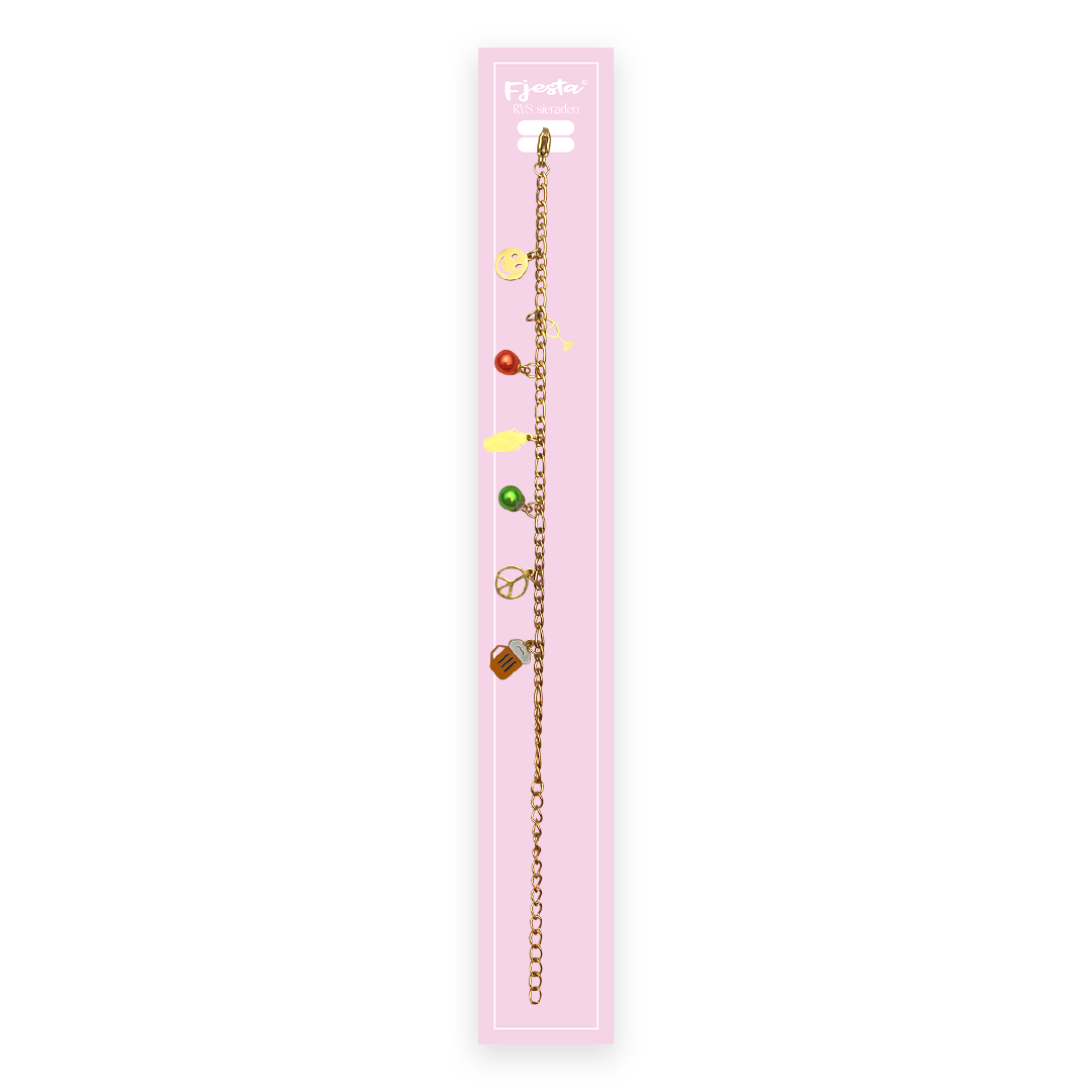 Kruikenstad armband bedeltjes premium RVS