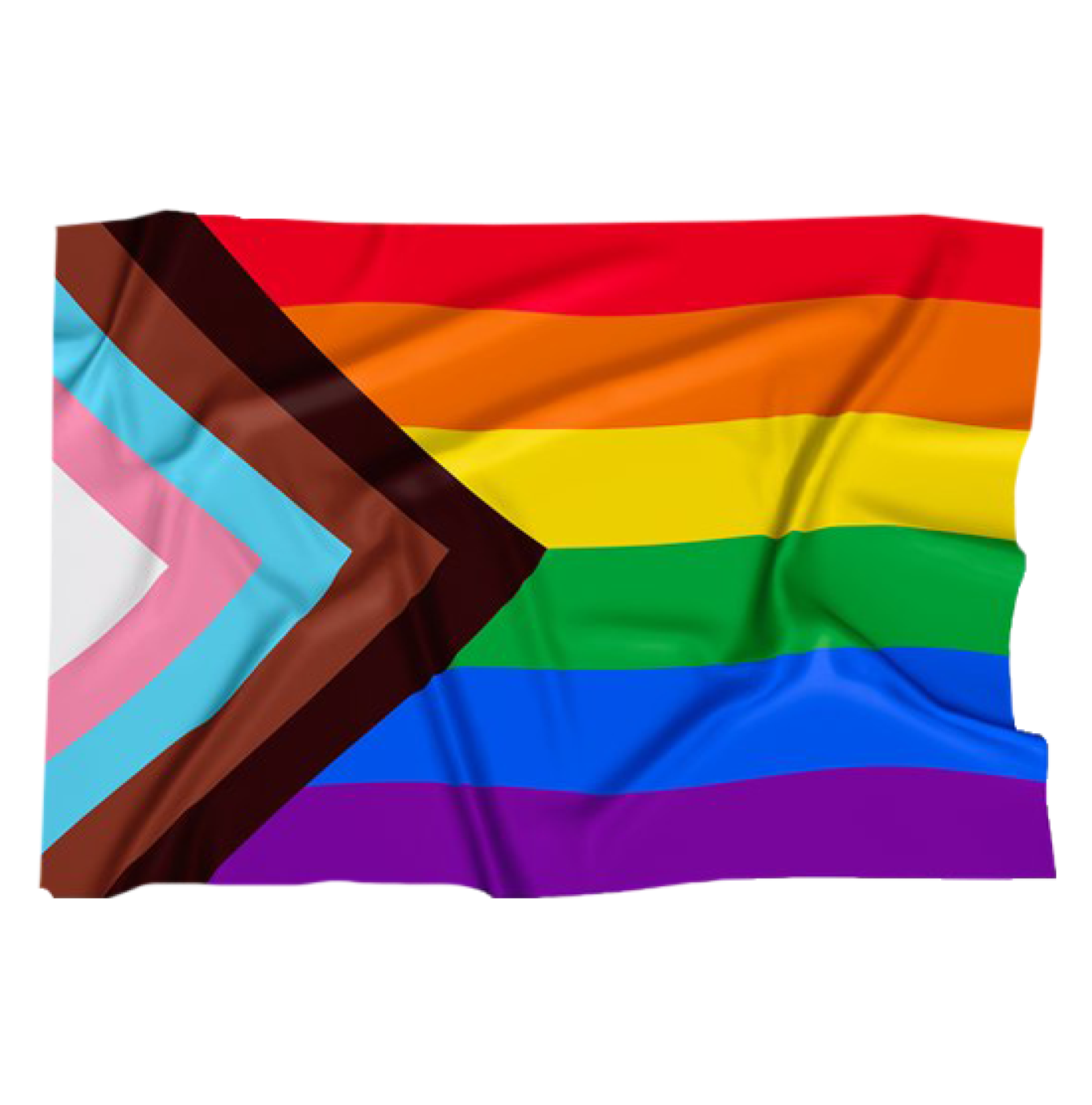 Regenboog Progress vlag 90x150cm