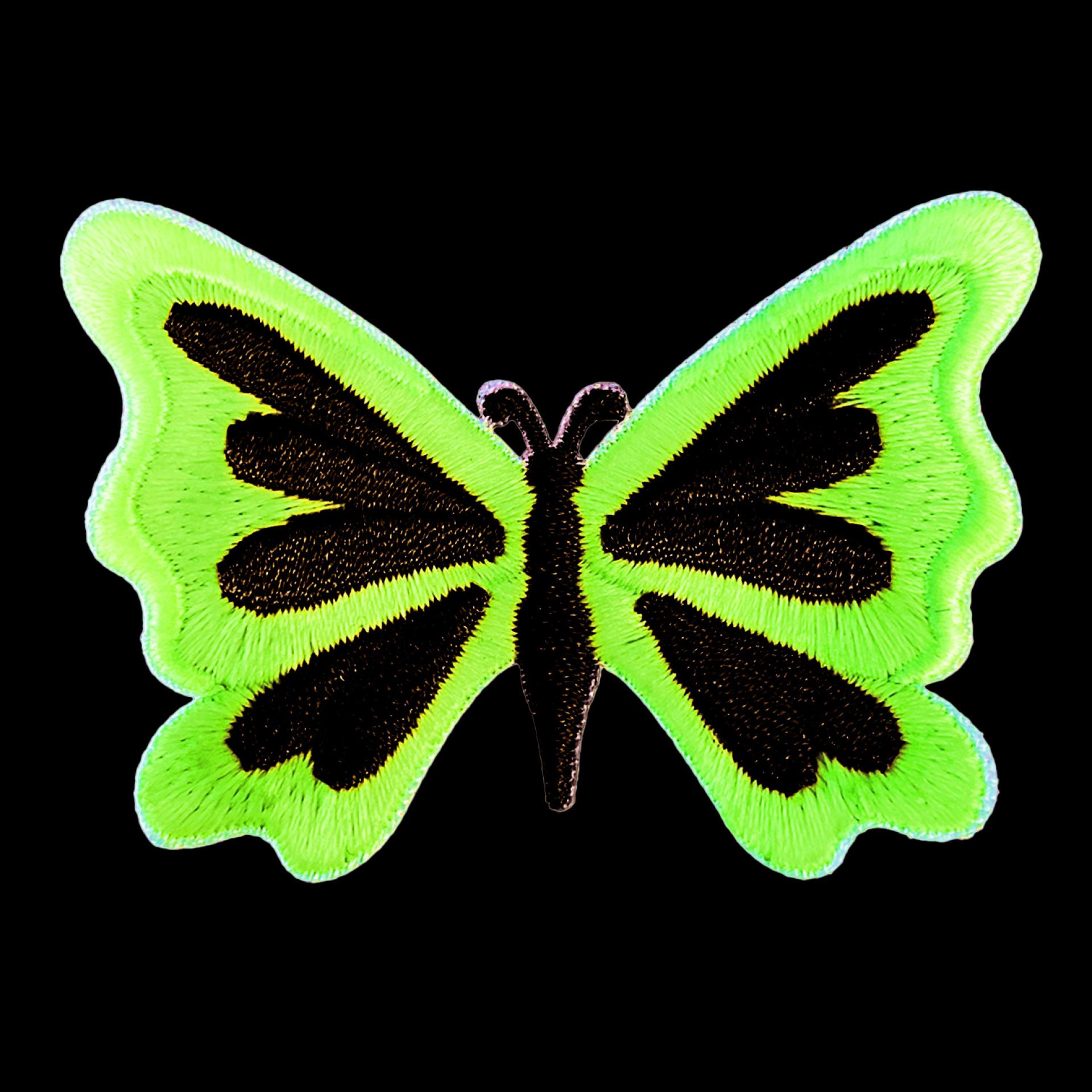 Glow in the dark Kruikenstad vlinder