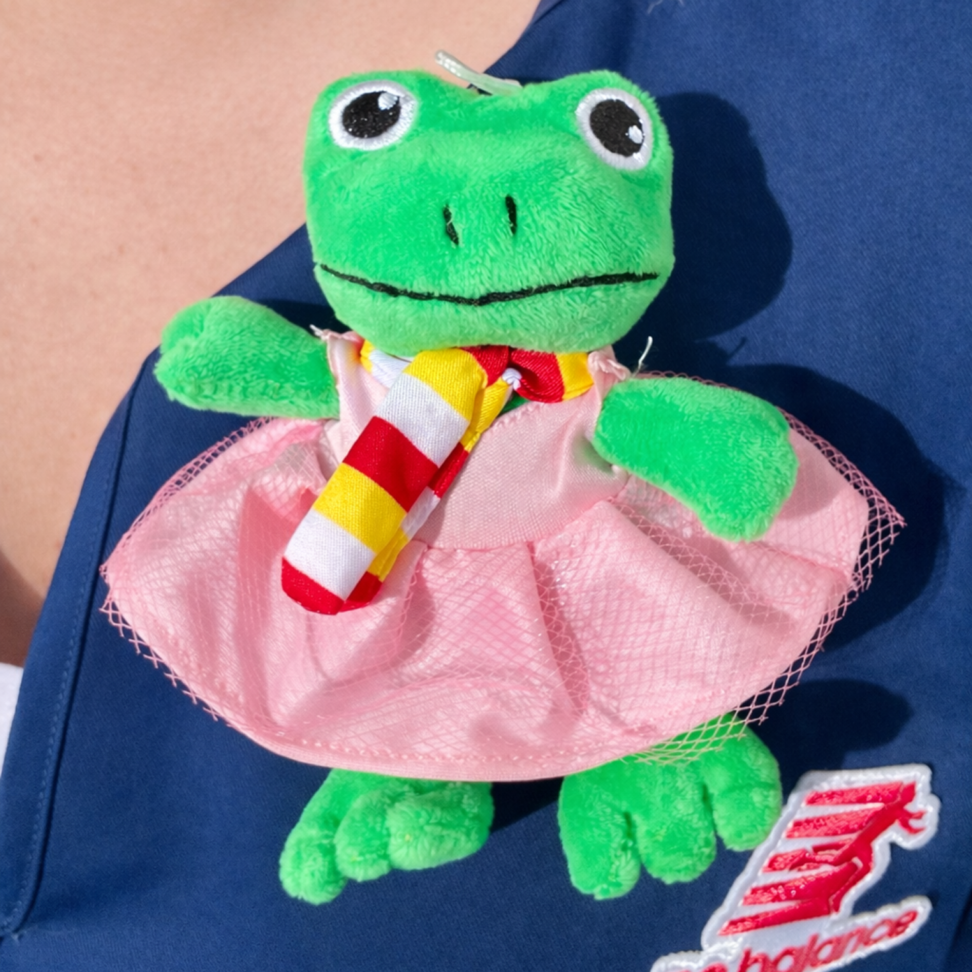 Pluche kikker speldje