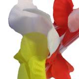 oeteldonk kleding carneval den bosch